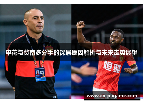 申花与费南多分手的深层原因解析与未来走势展望