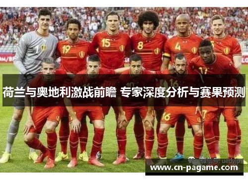 荷兰与奥地利激战前瞻 专家深度分析与赛果预测