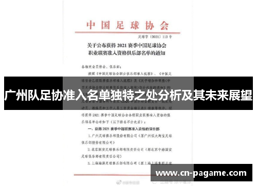 广州队足协准入名单独特之处分析及其未来展望