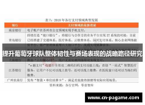 提升葡萄牙球队整体韧性与赛场表现的战略路径研究