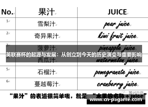 英联赛杯的起源与发展：从创立到今天的历史演变与重要影响