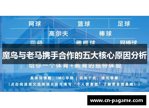 魔鸟与老马携手合作的五大核心原因分析
