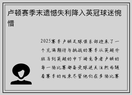 卢顿赛季末遗憾失利降入英冠球迷惋惜